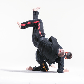 Jujitsu 2 — figure reference